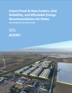 Future-Proof AI Data Centers, Grid Reliability, and Affordable Energy: Recommendations for States